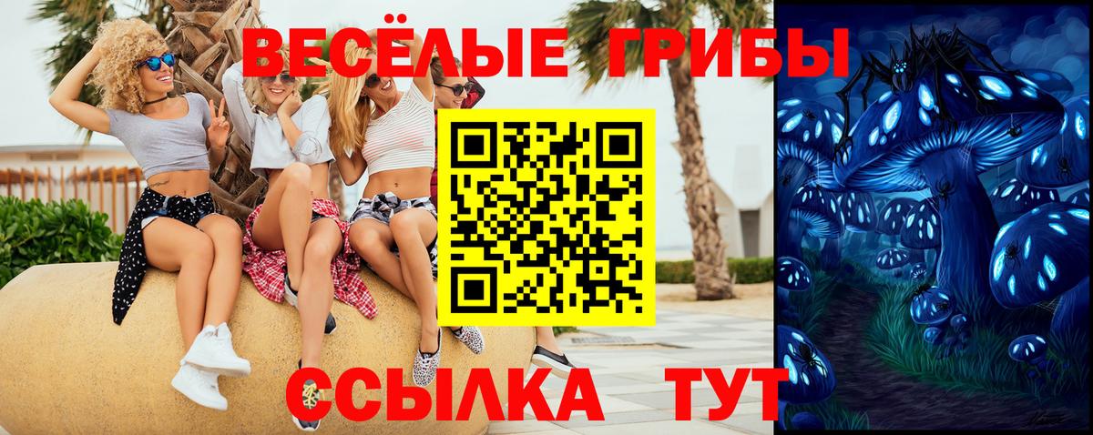 Галлюциногенные грибы мухоморы  закладки  Чехов  Вход с VPN 